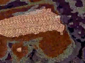 Dick videotape chinese scatsex gay porn