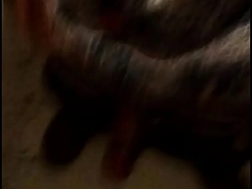 JAPANESE WOMAN gay japan group porn